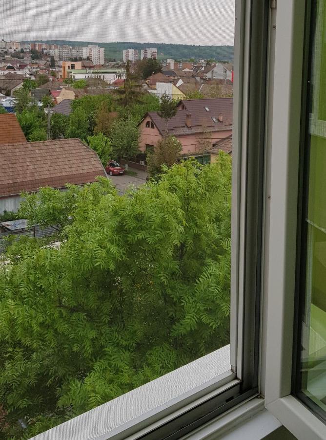 Green Apartman Târgu-Mureş Exterior foto